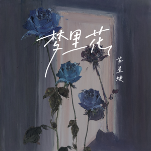 梦游的儿子小烟有声小说
