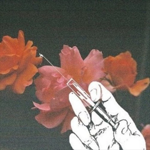 梦游的儿子小烟有声小说
