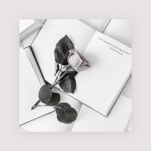 梦游的儿子小烟有声小说
